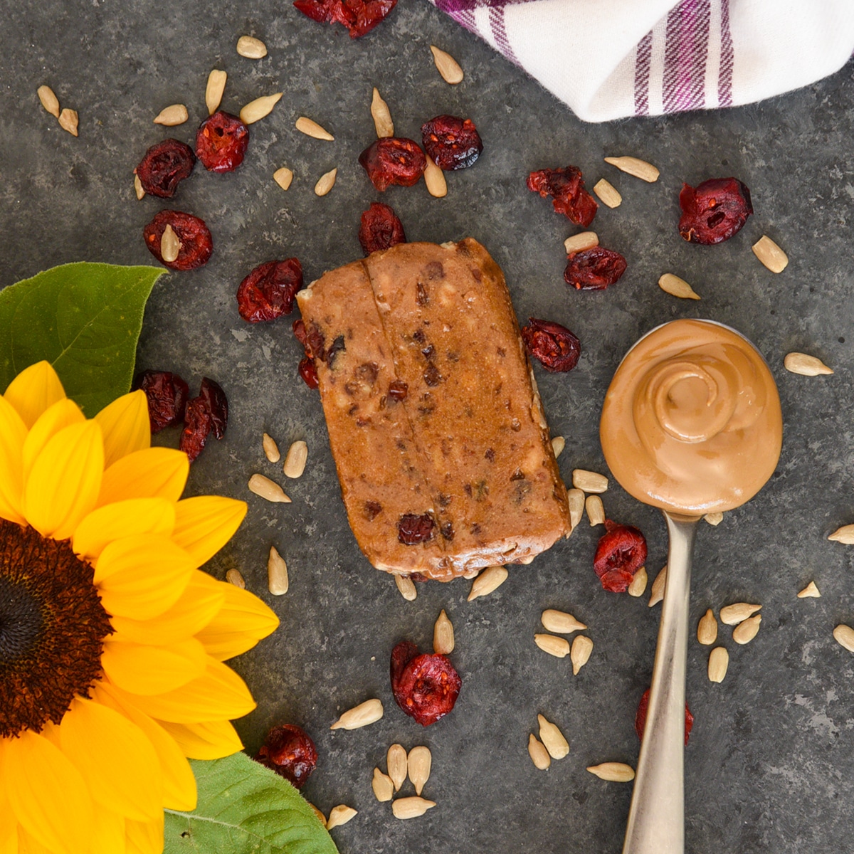 Rowdy Prebiotic Foods Releases Sunflower Butter N’Berries Bar