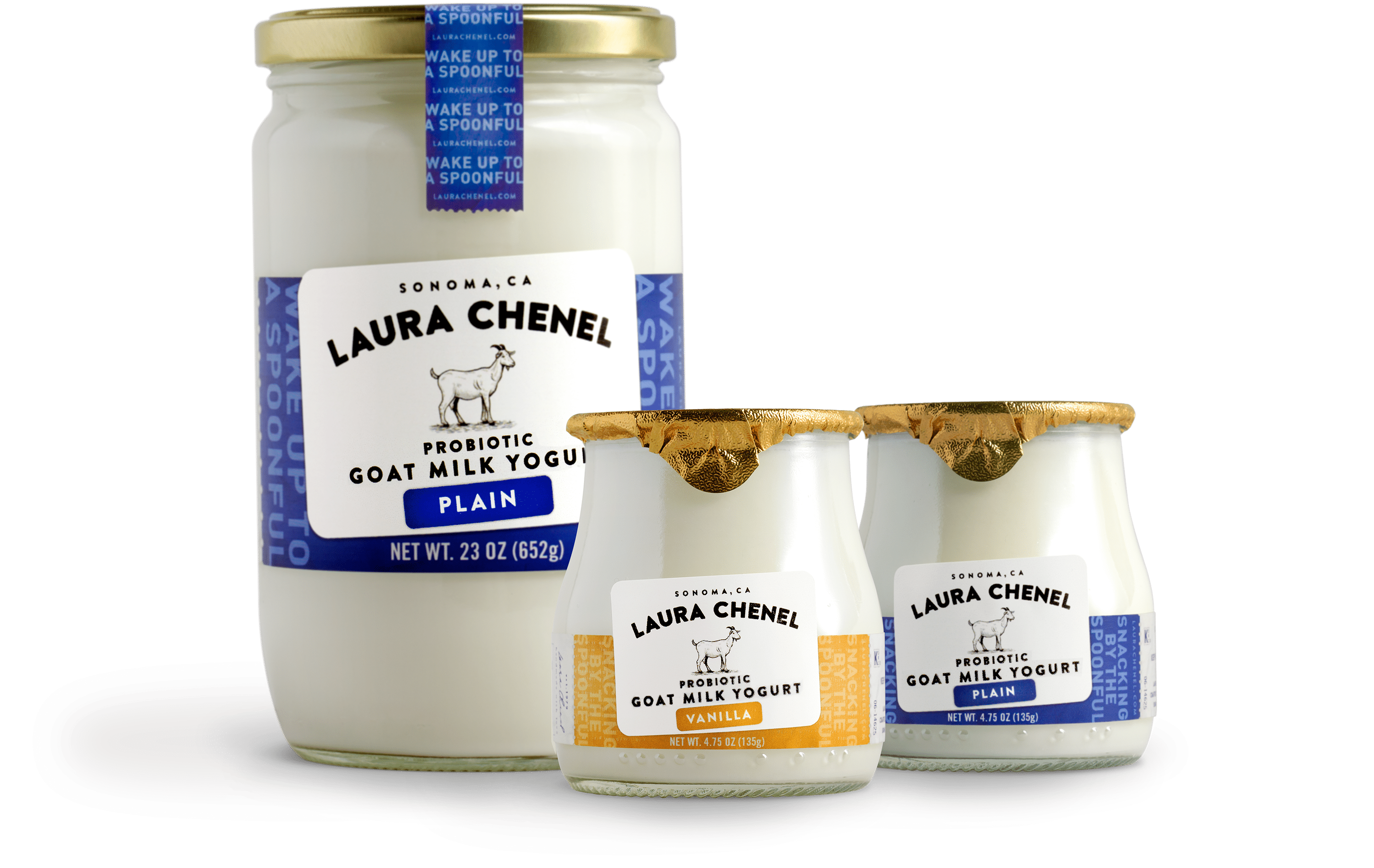 Laura Chenel Probiotic Goat Milk Yogurt Expands Distribution