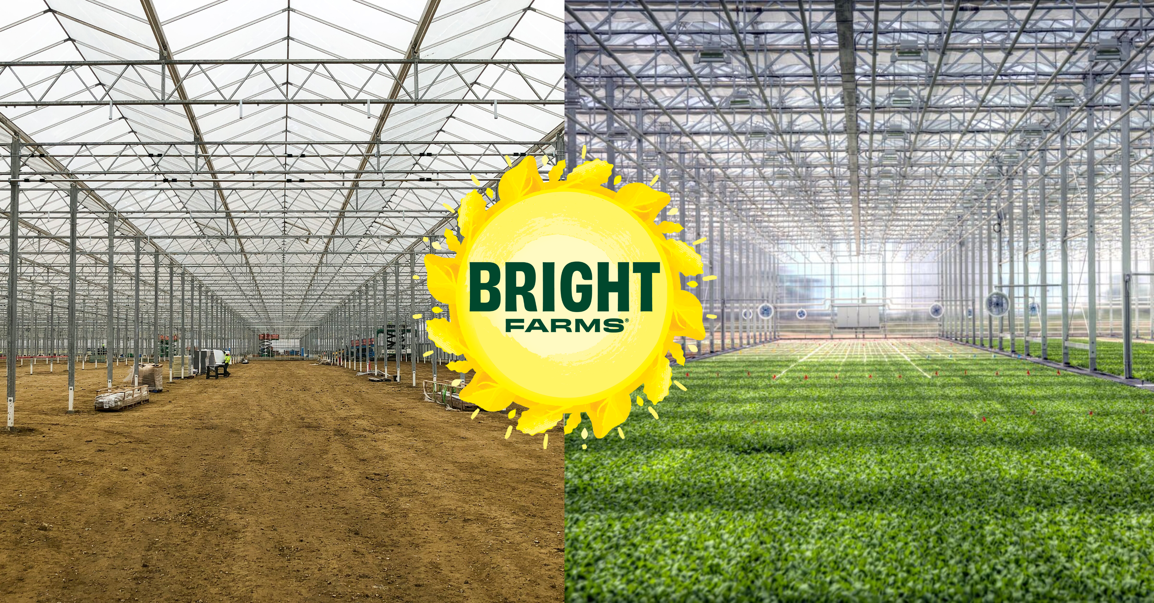 BrightFarms Expands with Four New Regional Salad Greenhouse Hubs