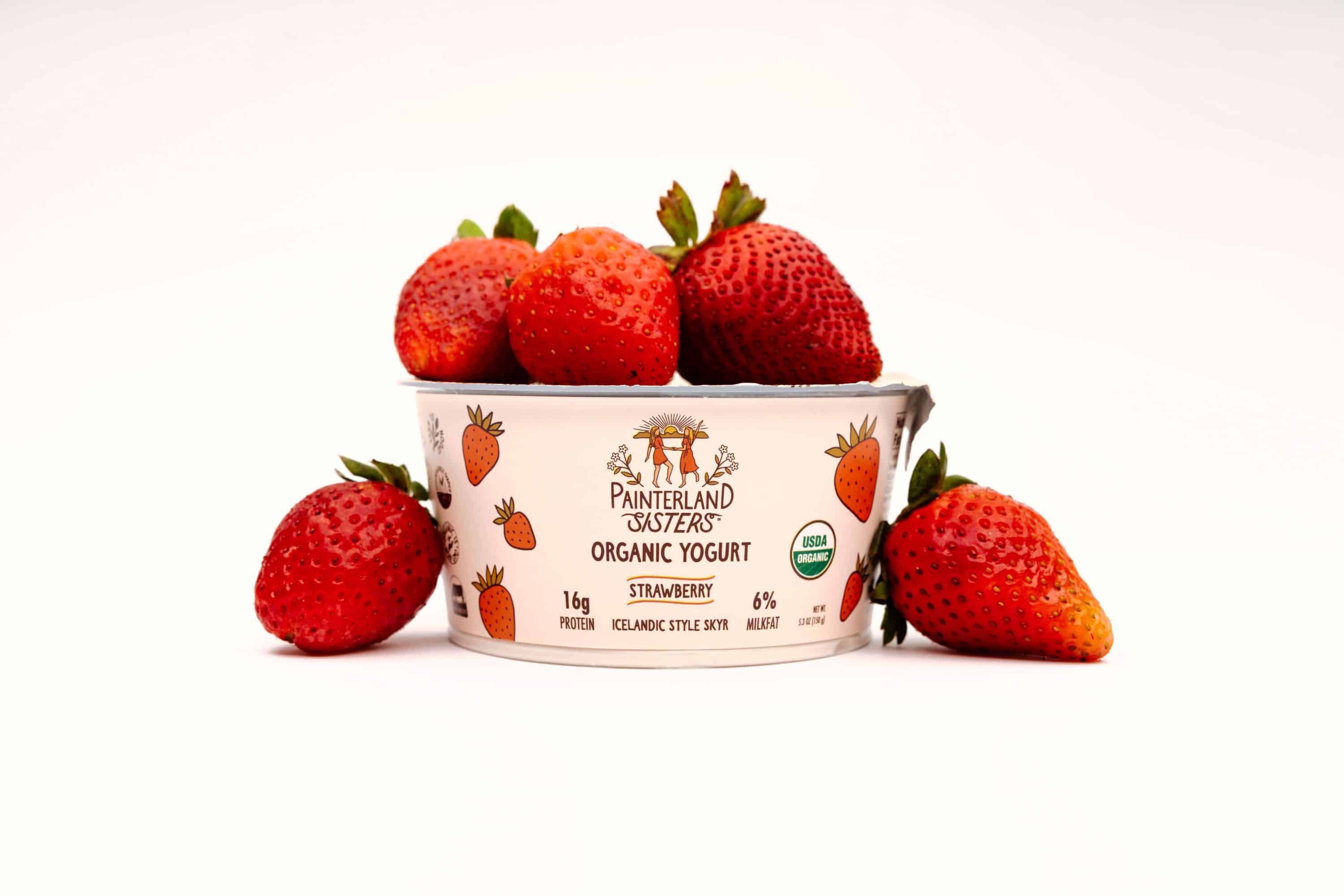 Sustainable Skyr Brand Painterland Sisters Expands Distribution in Time for Earth Day